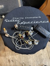 Seymour Duncan Antiquity Dog Ear P90s, Pots, Switch And Input