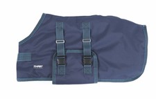 3'3"  - Shires Tempest