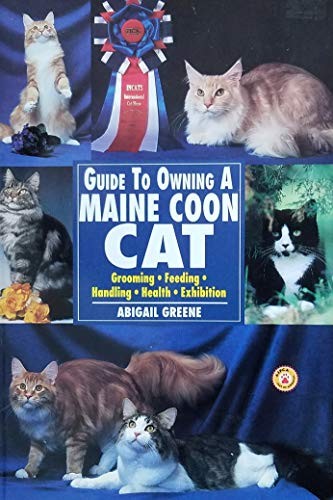 Guide owning maine coon - guide,