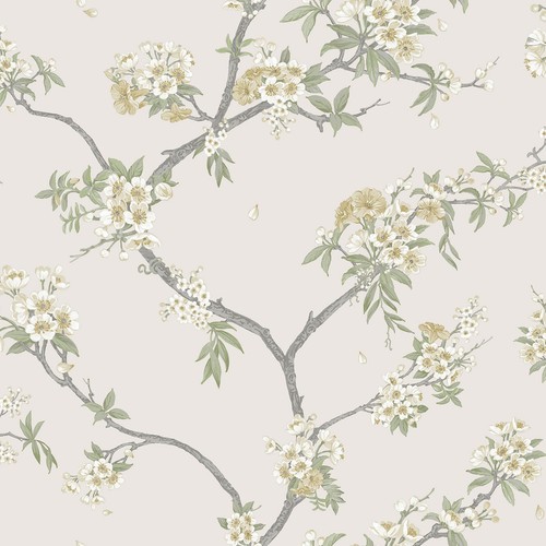 Cherry blossom wallpaper - blossom,
