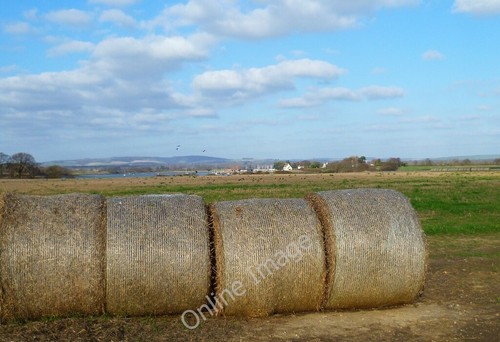 Photo 6x4 field with - photo, at