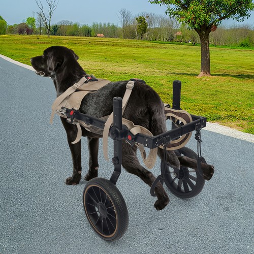 Dog wheelchair for - wheelchair, legs