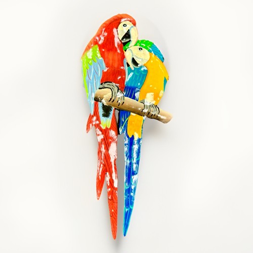 Macaw parrot pair - macaw,