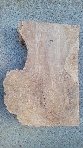 Timber scottish burr elm - elm, blank