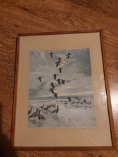 Peter Scott Signed Print And