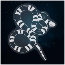 'Milk Snake' Static Window