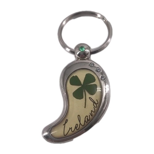 Ireland souvenir keyring - ireland,