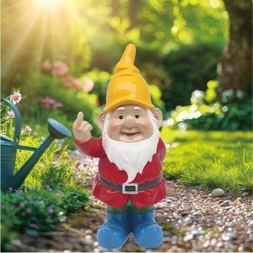 Naughty novelty garden gnome - novelty,