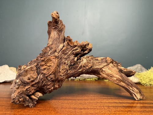Manzanita driftwood - 13”,