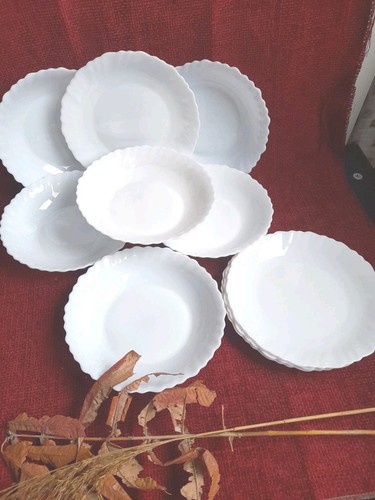 Arcopal france white 6xdinner - arcopal,
