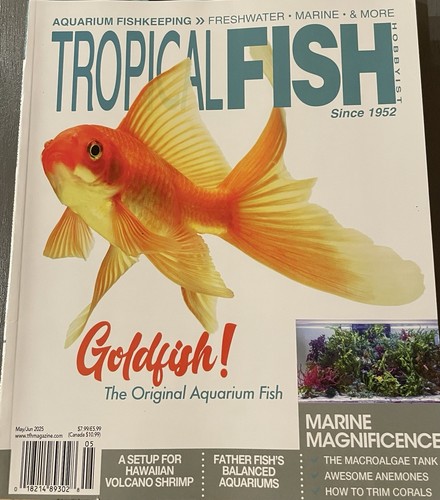 Tropical fish hobbyist - ​tropical,