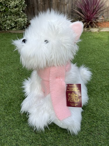 Bhs white westie scottish - bhs,