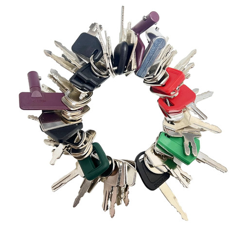 55pcs plant key set - key,
