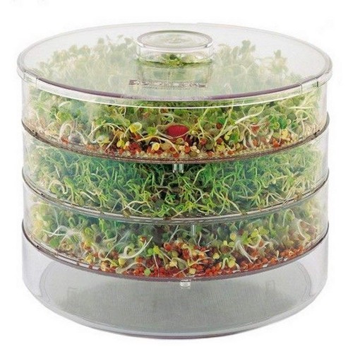 Three tray seed sprouter - seed,