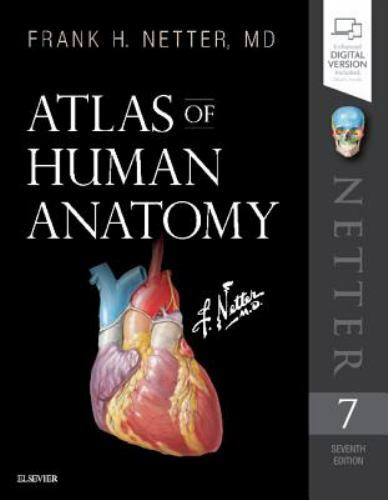 Atlas human anatomy - anatomy, (netter