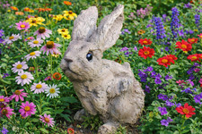 Bunny Wood Effect Rabbit