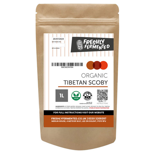 Organic tibetan kombucha scoby - organic,