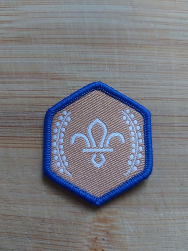 Current scouting beaver - current,