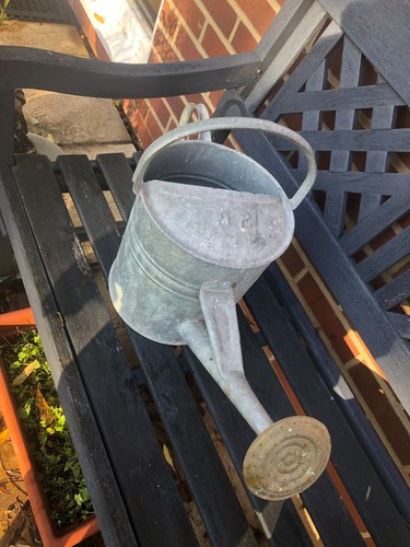 Vintage galvanised watering - galvanised,