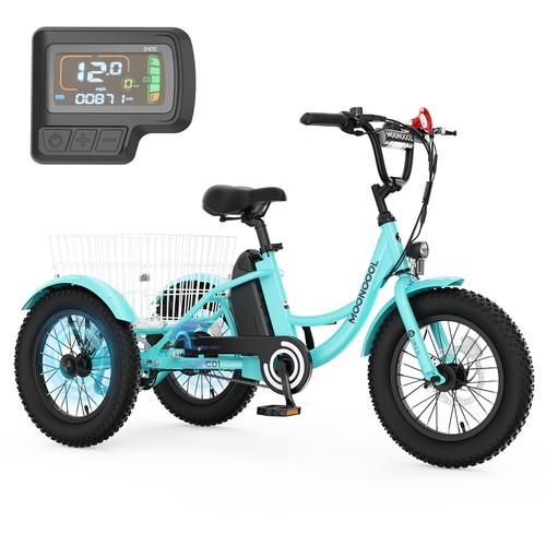 Mooncool 16in fat - 3.0,