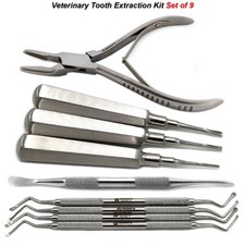 Small Animal Basic Dental