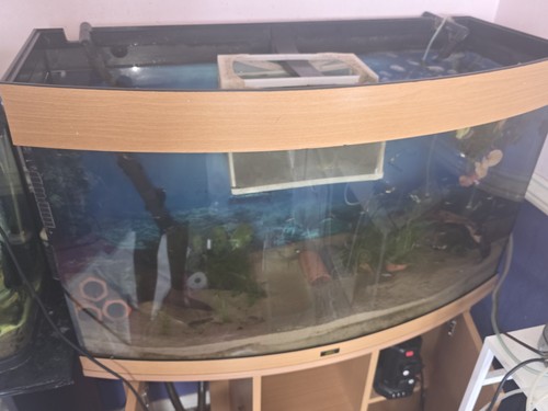 180 litre bowl front - litre, tank