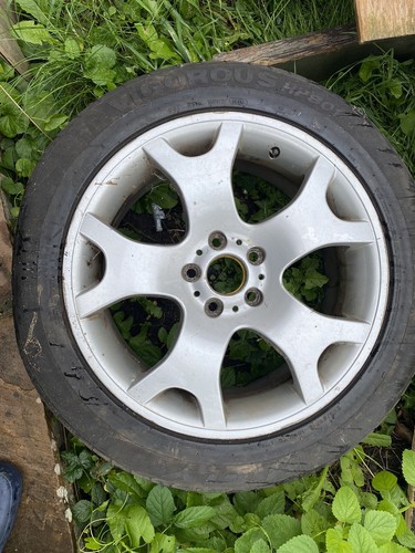 Genuine bmw e53 tiger - genuine,