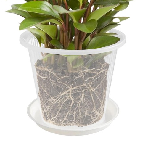 Orchid pots indoor - indoor,