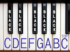 Roland XP-80 XP-50 XP-60 JW-50 JX-1 JX-305 SK-501V Replacement KEY