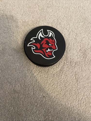 Cardiff devils hockey - cardiff, puck