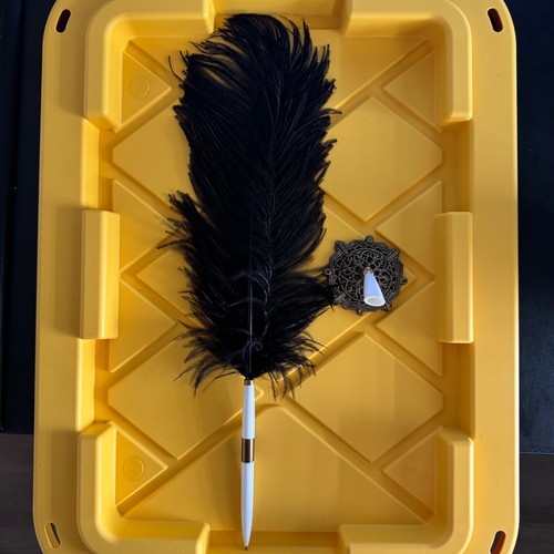 Vintage style ostrich feather - ostrich,