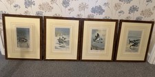 Set Of 4 Framed Signed Limited