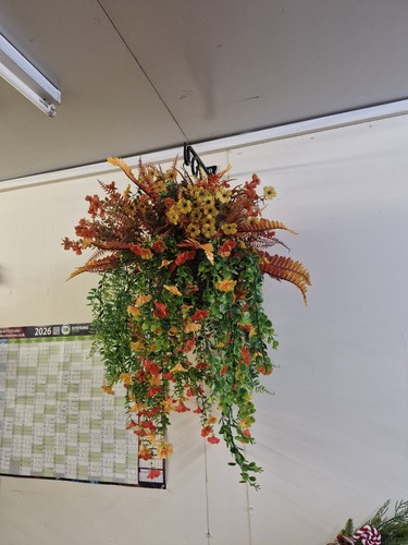Seasonal winter autumn - winter,