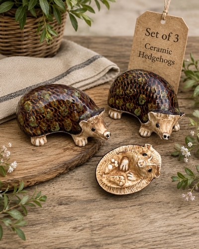 Mrs tiggy winkle hedgehogs - mrs,