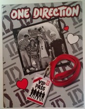 1D One Direction 2 Pocket 3 Ring Folder Picture VIP Pass RARE VHTF VTG 2013 Grey