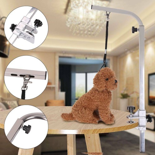 Pet dog grooming - pet, non