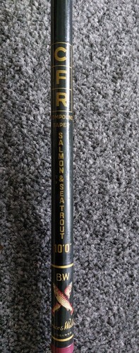 Bruce walker 10ft salmon rod - 10ft,