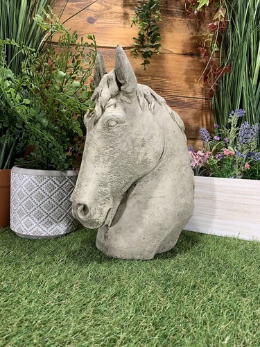 Stone garden horse - horse, head