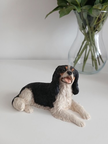 Vintage castagna king charles - vintage,