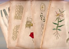 LITHOGRAPH Great for framing