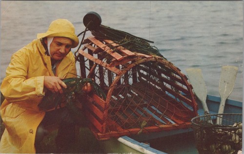 Ale cape cod - ale,