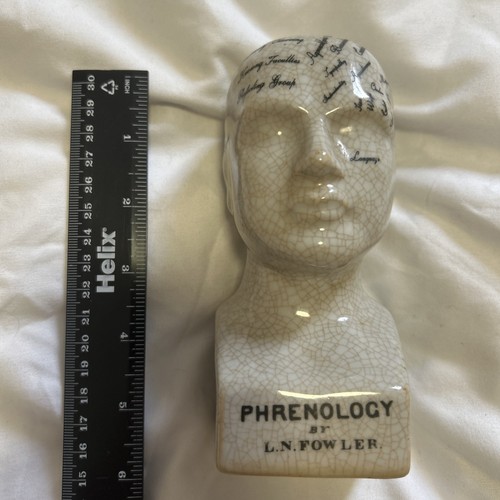 Ceramic phrenology head bust - phrenology,