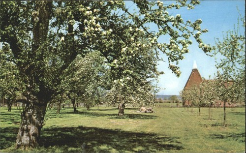 Vintage kent postcard oast - kent,