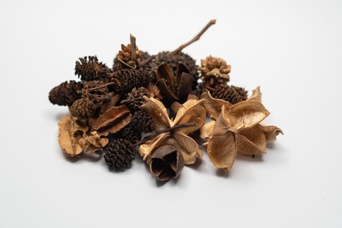 Nano botanical seed pods - nano,