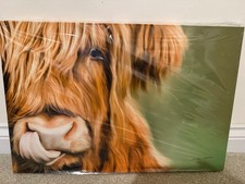 Funny / Cute  Animal Canvas