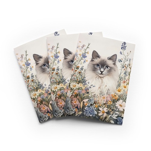 Ragdoll cat spring flowers - ragdoll,