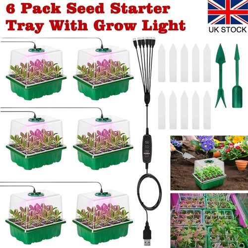 Pack seed starter - 6, with