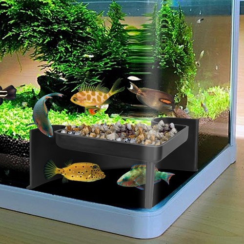 Underground aquarium cave with - cave,