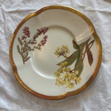 ROYAL WORCESTER BLUSH IVORY