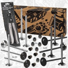 Valve Kit intake/exhaust valve